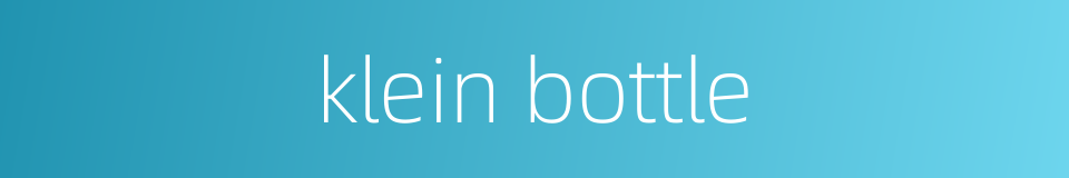 klein bottle的同义词