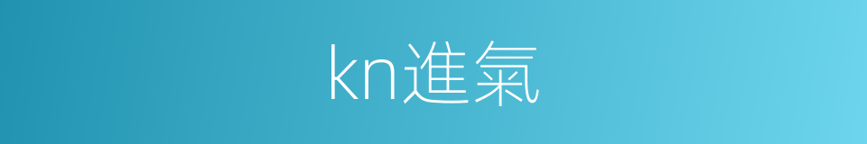 kn進氣的同義詞