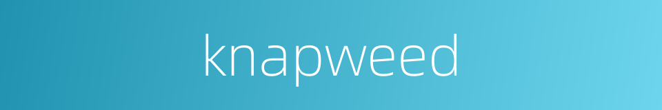 knapweed的同义词