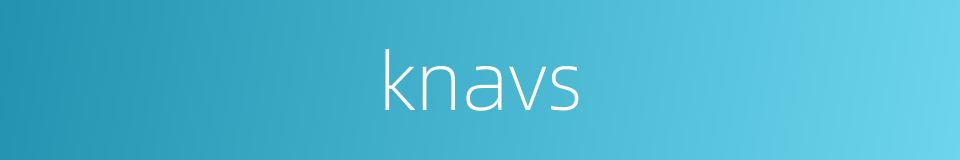 knavs的同义词