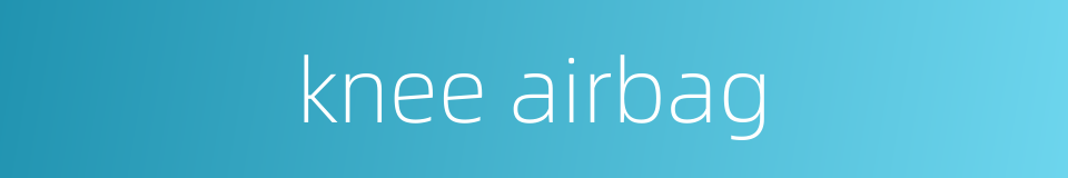 knee airbag的同义词