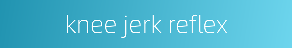 knee jerk reflex的同义词