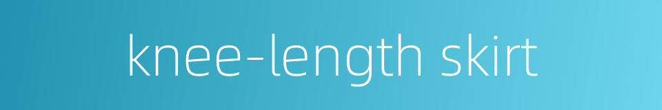 knee-length skirt的同义词