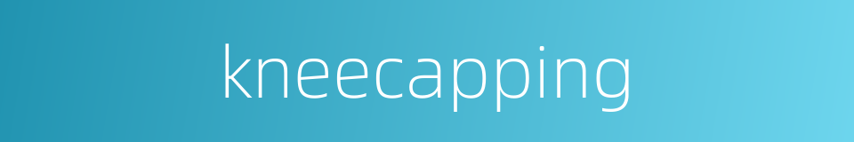 kneecapping的同义词