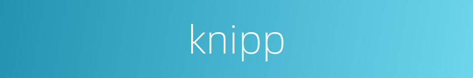 knipp的同义词