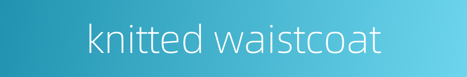 knitted waistcoat的同义词