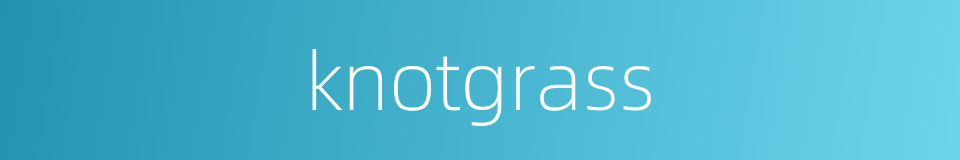 knotgrass的同义词