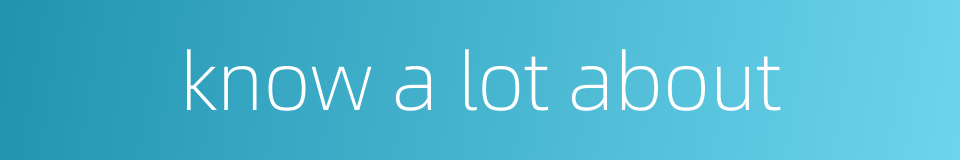 know a lot about的同义词