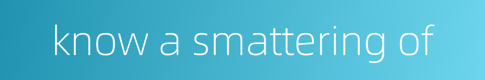 know a smattering of的同义词