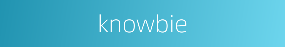 knowbie的同义词