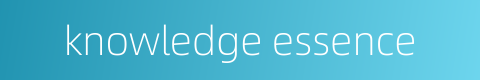 knowledge essence的同义词