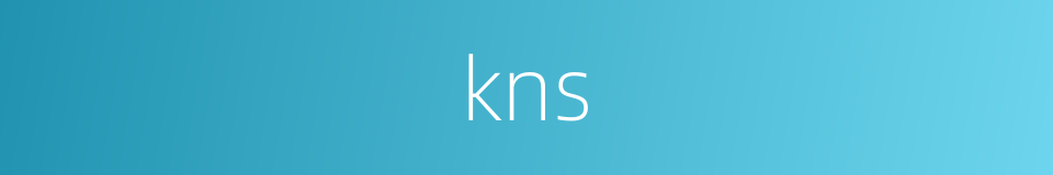 kns的同义词