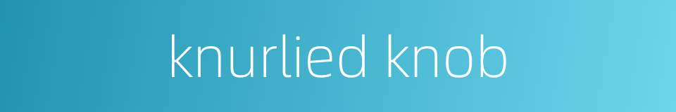 knurlied knob的同义词