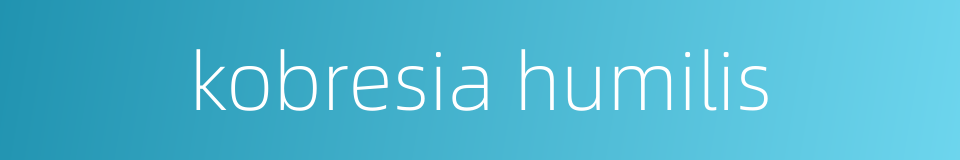 kobresia humilis的同义词