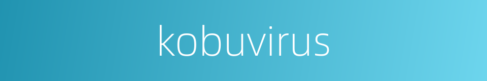 kobuvirus的同义词