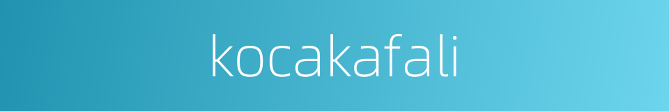 kocakafali的同义词