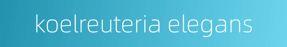 koelreuteria elegans的同义词