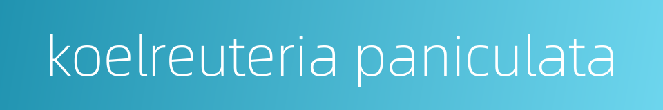 koelreuteria paniculata的同义词