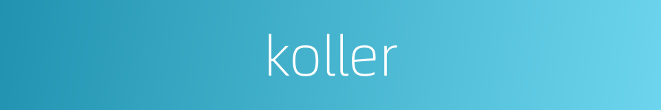 koller的同义词