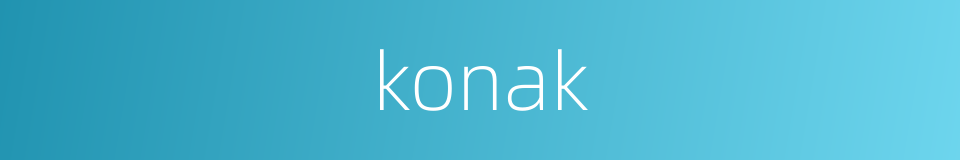 konak的同义词