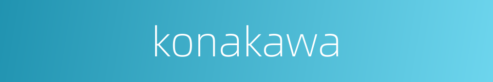 konakawa的同义词