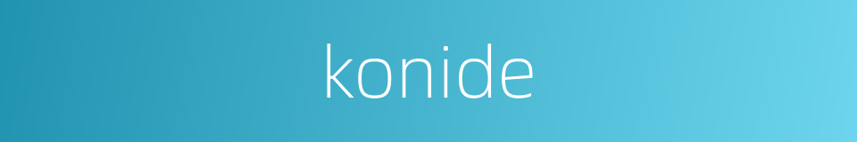 konide的同义词