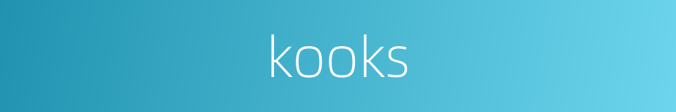 kooks的同义词