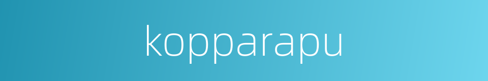 kopparapu的同义词
