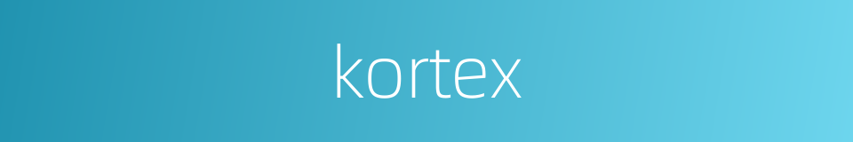 kortex的同义词