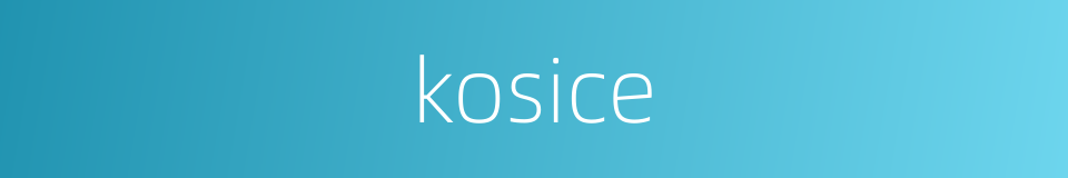 kosice的同义词