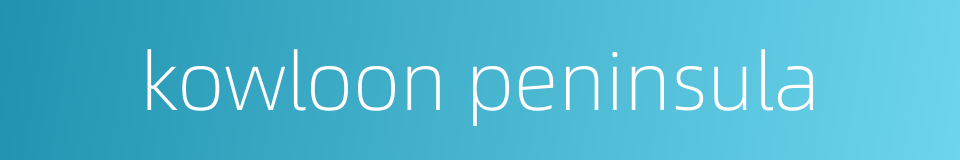 kowloon peninsula的同义词