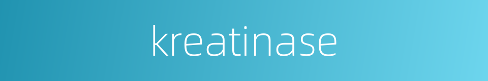 kreatinase的同义词