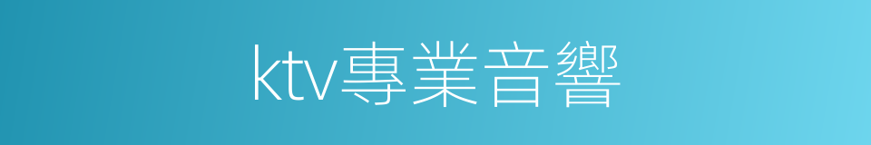 ktv專業音響的同義詞