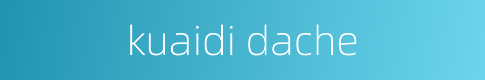 kuaidi dache的同义词