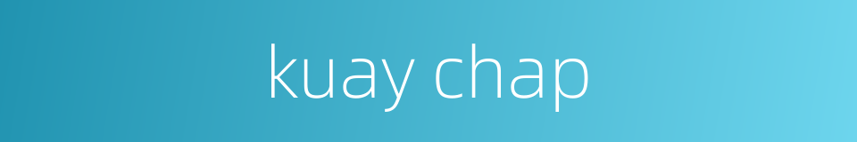 kuay chap的同义词