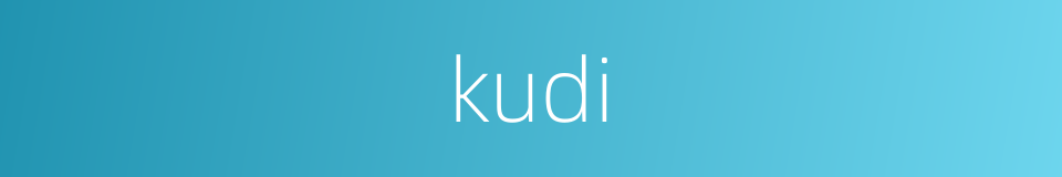 kudi的同义词