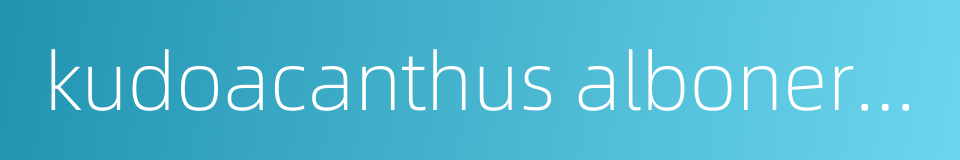 kudoacanthus albonervosus的同义词