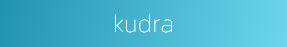 kudra的同义词