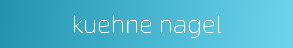 kuehne nagel的同义词