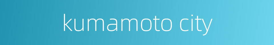kumamoto city的同义词