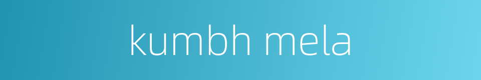 kumbh mela的同义词