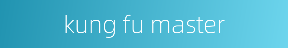 kung fu master的同义词