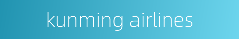 kunming airlines的同义词
