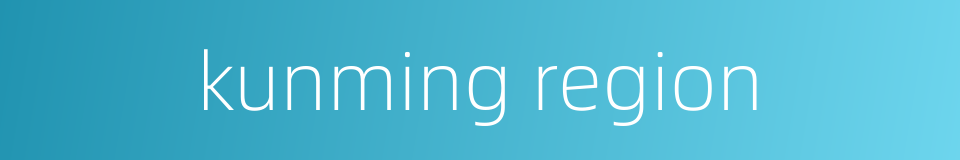 kunming region的同义词
