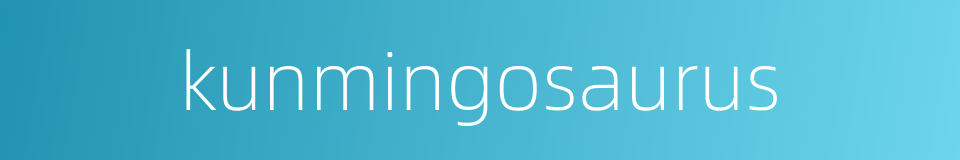 kunmingosaurus的同义词