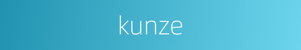 kunze的同义词
