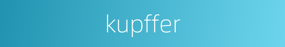 kupffer的同义词