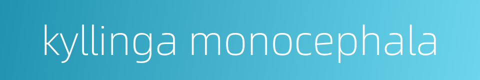 kyllinga monocephala的同义词