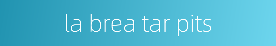 la brea tar pits的同义词