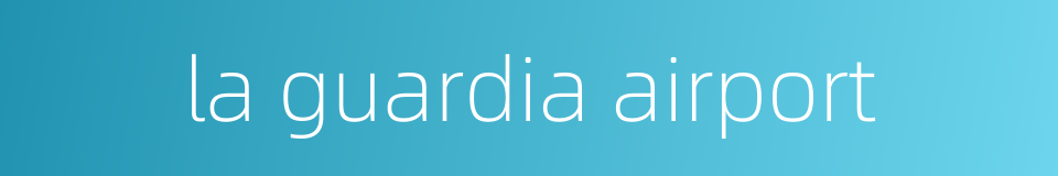 la guardia airport的同义词